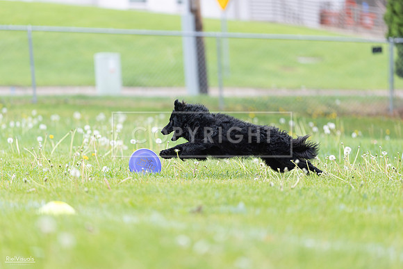 RielVisuals_20260518_173818_SJR_0827