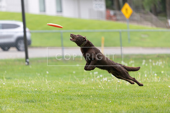 RielVisuals_20260518_174031_SJR_0875