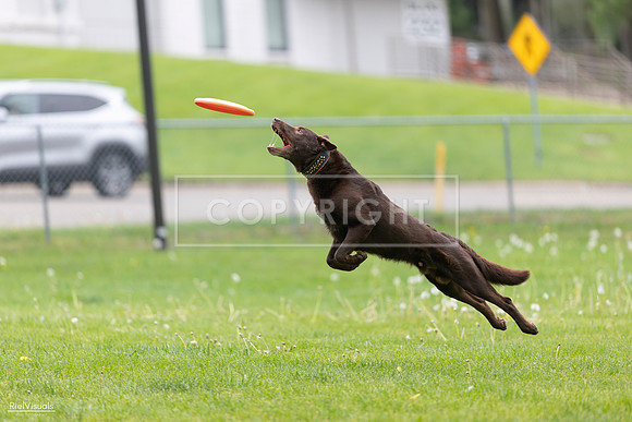 RielVisuals_20260518_174031_SJR_0876