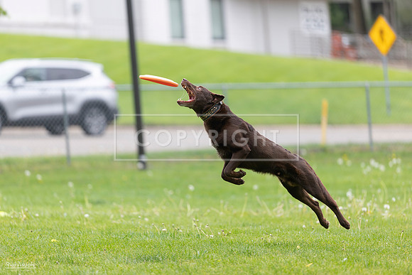 RielVisuals_20260518_174031_SJR_0877