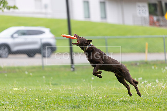 RielVisuals_20260518_174031_SJR_0878
