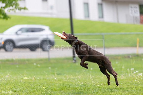 RielVisuals_20260518_174031_SJR_0879