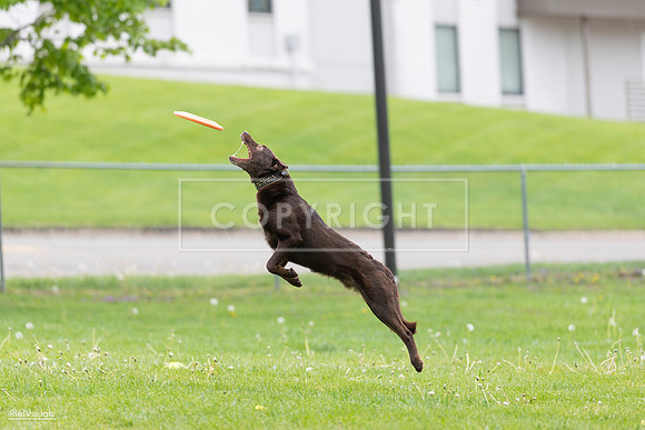 RielVisuals_20260518_174045_SJR_0904