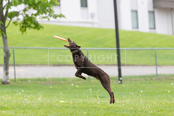 RielVisuals_20260518_174045_SJR_0905