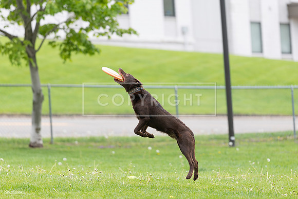 RielVisuals_20260518_174045_SJR_0906