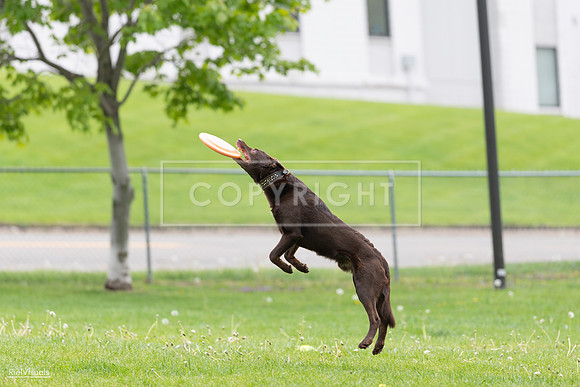 RielVisuals_20260518_174045_SJR_0907