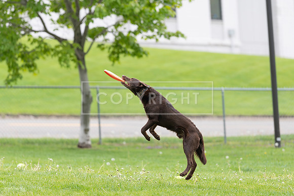 RielVisuals_20260518_174045_SJR_0908
