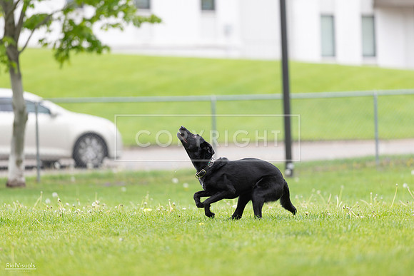 RielVisuals_20260518_174252_SJR_1028