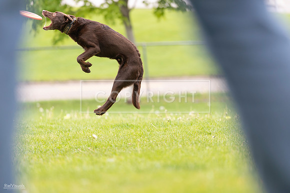 RielVisuals_20260518_174129_SJR_0976