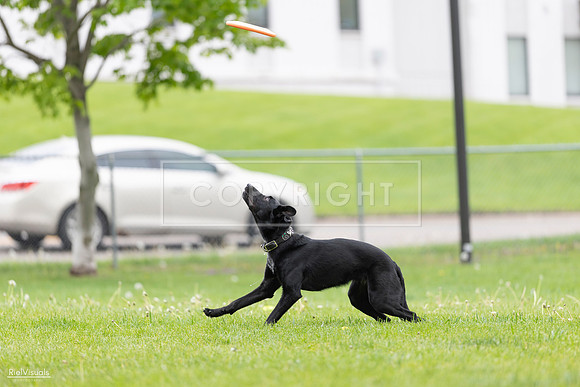 RielVisuals_20260518_174252_SJR_1031