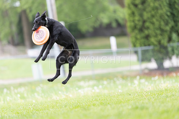 RielVisuals_20260518_174300_SJR_1055