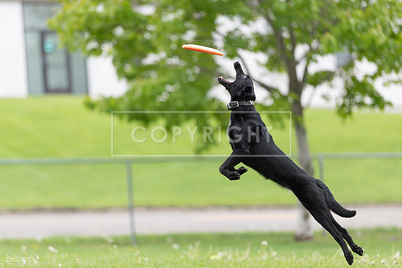 RielVisuals_20260518_174311_SJR_1094