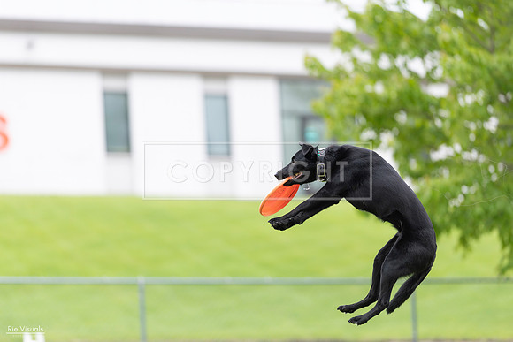 RielVisuals_20260518_174312_SJR_1102