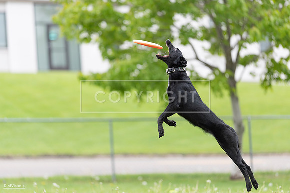 RielVisuals_20260518_174311_SJR_1095