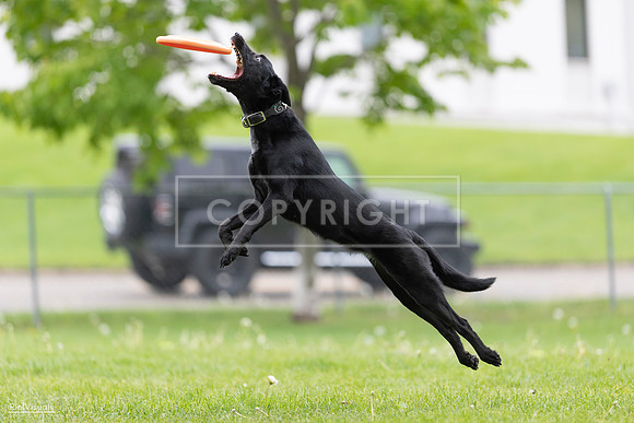 RielVisuals_20260518_174321_SJR_1119