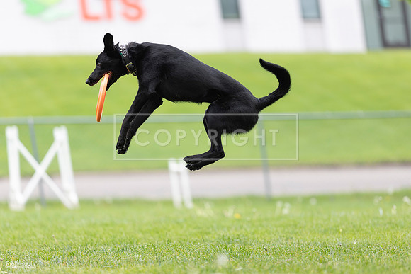 RielVisuals_20260518_174321_SJR_1132
