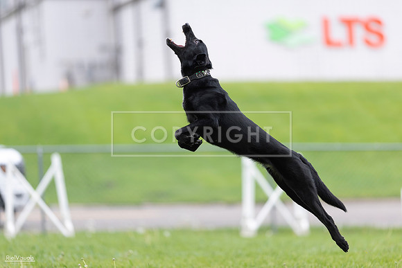 RielVisuals_20260518_174334_SJR_1174