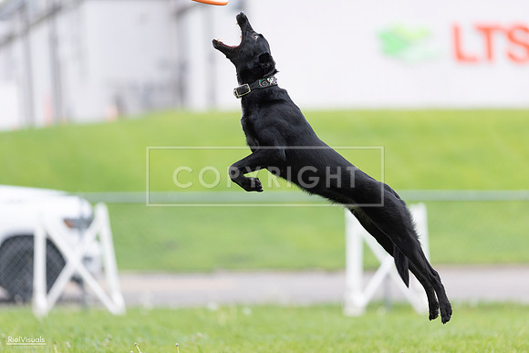 RielVisuals_20260518_174334_SJR_1175