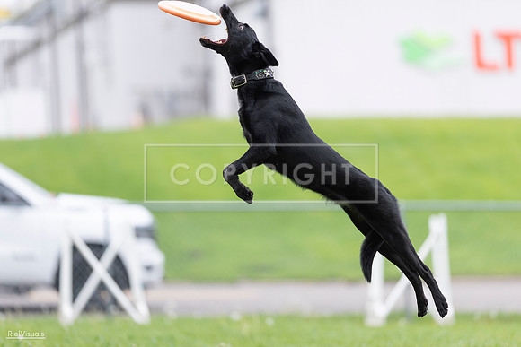 RielVisuals_20260518_174334_SJR_1176