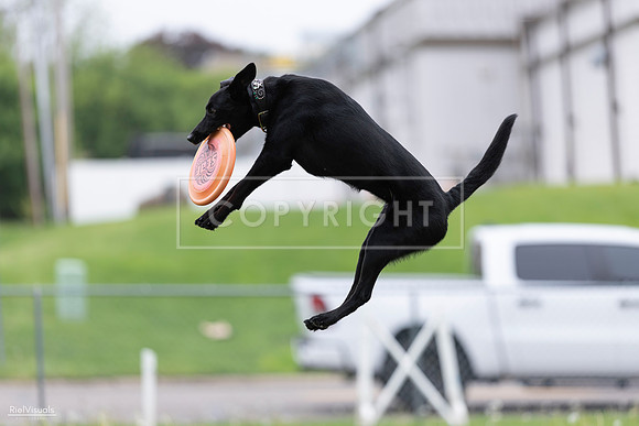 RielVisuals_20260518_174334_SJR_1185