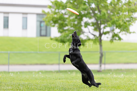 RielVisuals_20260518_174351_SJR_1218