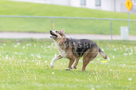 RielVisuals_20260518_174548_SJR_1250