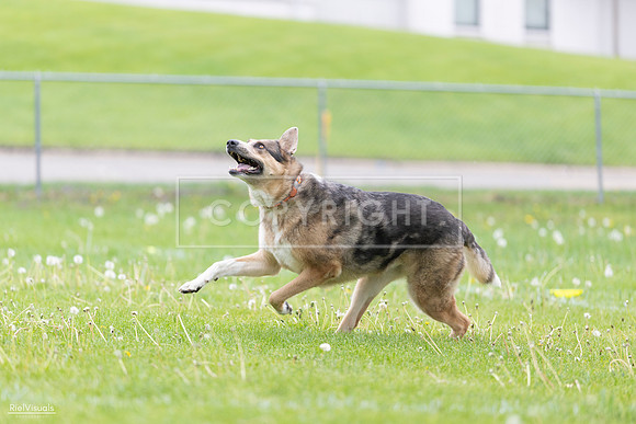 RielVisuals_20260518_174548_SJR_1252