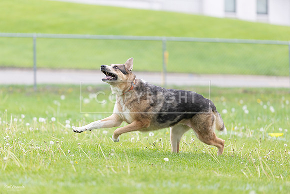 RielVisuals_20260518_174548_SJR_1253
