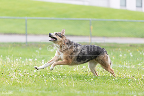 RielVisuals_20260518_174549_SJR_1254
