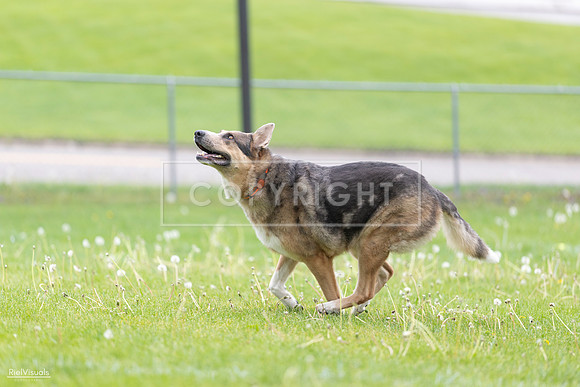 RielVisuals_20260518_174549_SJR_1263