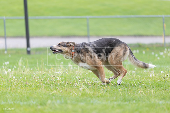 RielVisuals_20260518_174604_SJR_1283