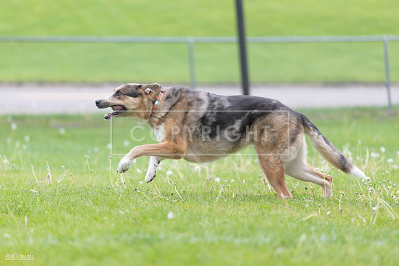 RielVisuals_20260518_174604_SJR_1289