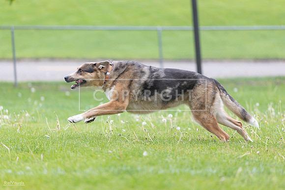 RielVisuals_20260518_174604_SJR_1290