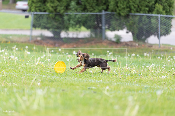 RielVisuals_20260518_174827_SJR_1331