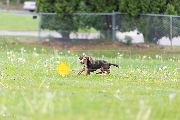 RielVisuals_20260518_174827_SJR_1332