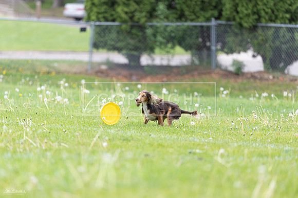 RielVisuals_20260518_174827_SJR_1334