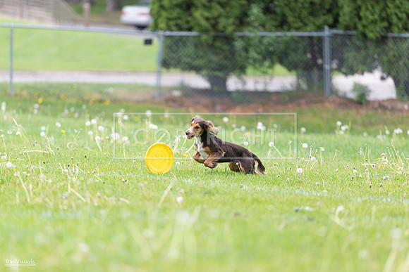 RielVisuals_20260518_174827_SJR_1336