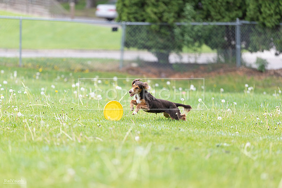 RielVisuals_20260518_174827_SJR_1337