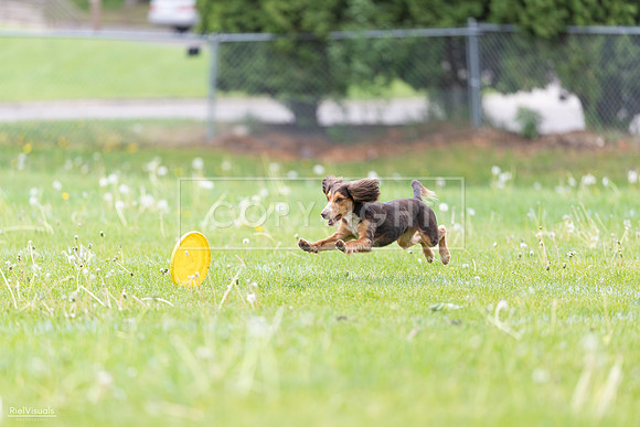 RielVisuals_20260518_174834_SJR_1362
