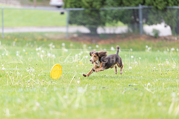 RielVisuals_20260518_174834_SJR_1363