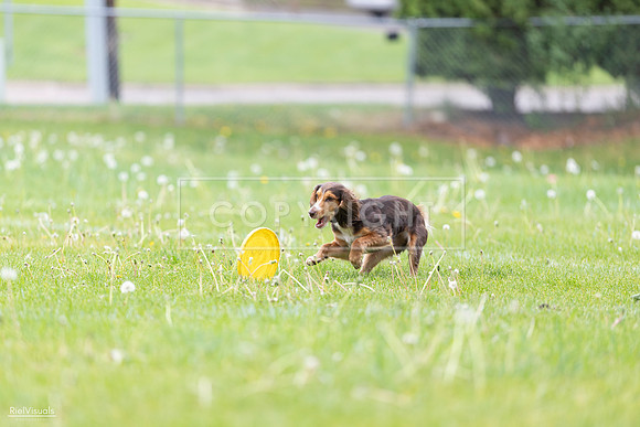RielVisuals_20260518_174834_SJR_1369