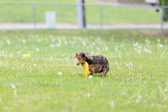RielVisuals_20260518_174835_SJR_1377