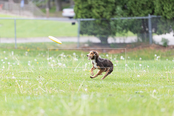 RielVisuals_20260518_174842_SJR_1398