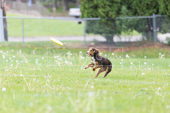 RielVisuals_20260518_174842_SJR_1399