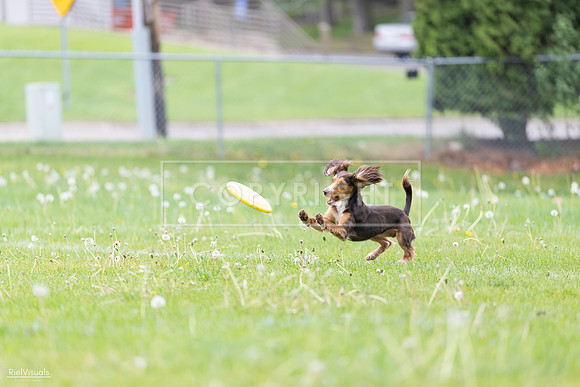 RielVisuals_20260518_174842_SJR_1404