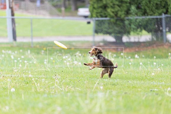RielVisuals_20260518_174842_SJR_1400
