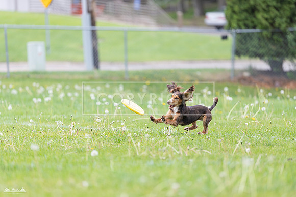 RielVisuals_20260518_174843_SJR_1405
