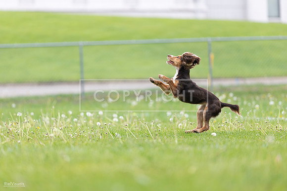 RielVisuals_20260518_174909_SJR_1454