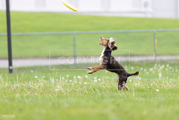 RielVisuals_20260518_174909_SJR_1458