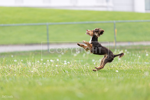 RielVisuals_20260518_174909_SJR_1455